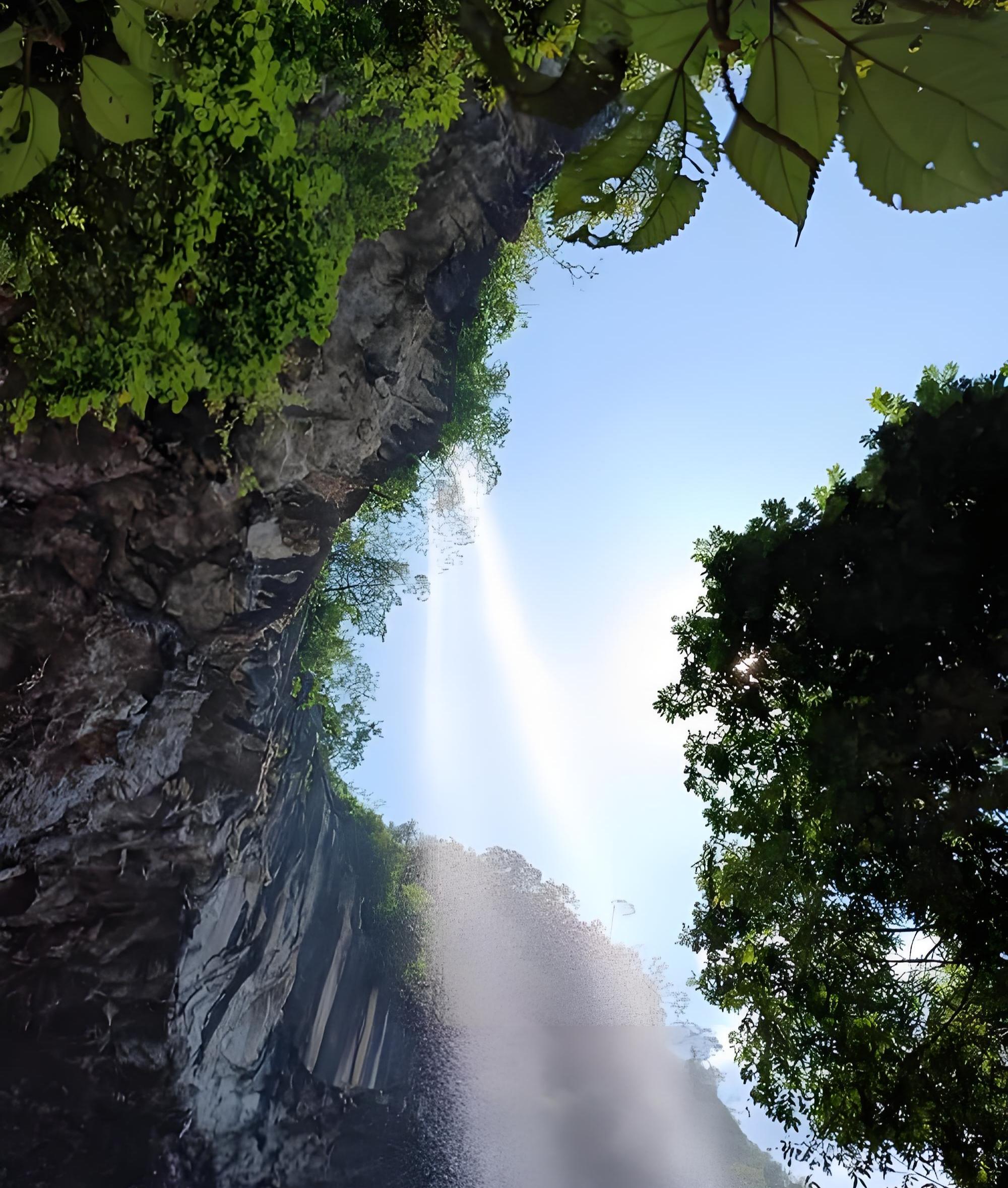 54264433.jpeg 风景2.jpeg